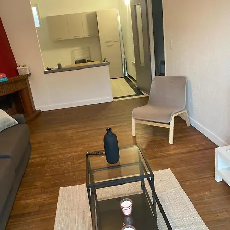 Fabuleux T3 De 85 M2, Situe Au Calme Avec Grand Parking Gratuit Prive ,Fibre Wifi Apartment Saint Gaudens Exterior photo